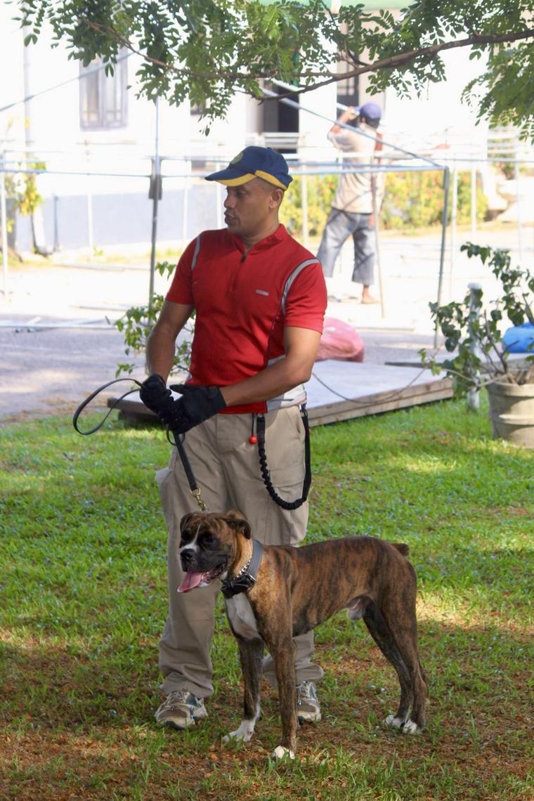 VONFIDEL K9 dog training fieldwork in Sri Lanka