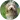 prix toilettage Bearded Collie
