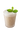 The Base Beverage Vending premix powder pouch next to a glass of creamy vending-style drink with mint garnish. Designed for fast, high-volume self-serve beverage service.