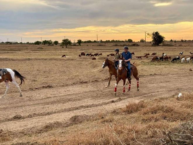 Riders moving through open ranch land at sunset at Vonfidel Ranch