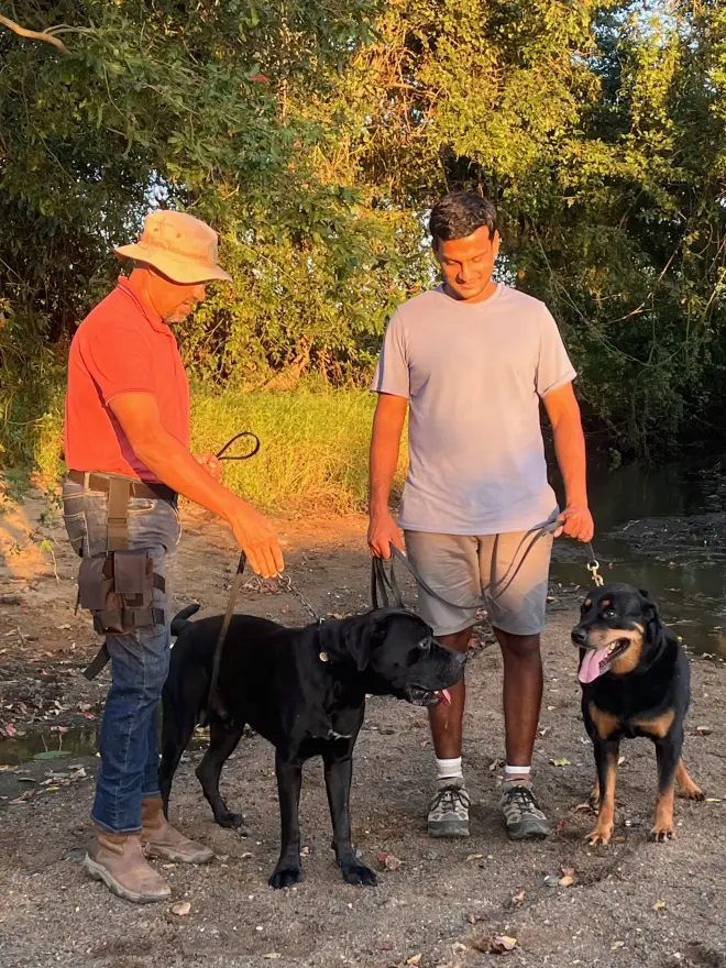 Two handlers standing with two leashed Rottweilers outdoors
