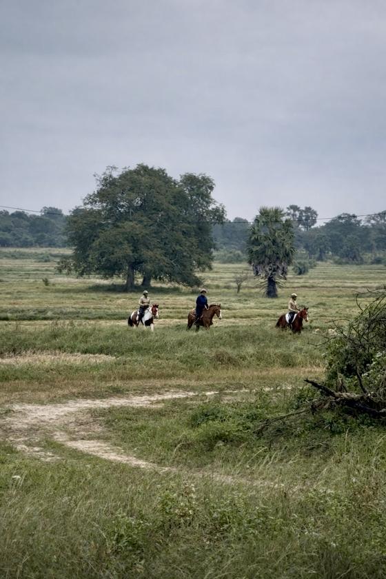 Three riders crossing open grassland during a guided horseback trail ride at Vonfidel Ranch.