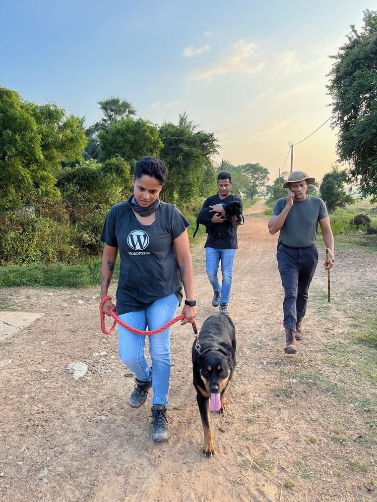 Handlers walking dogs during a VONFIDEL K9 canine training exercise