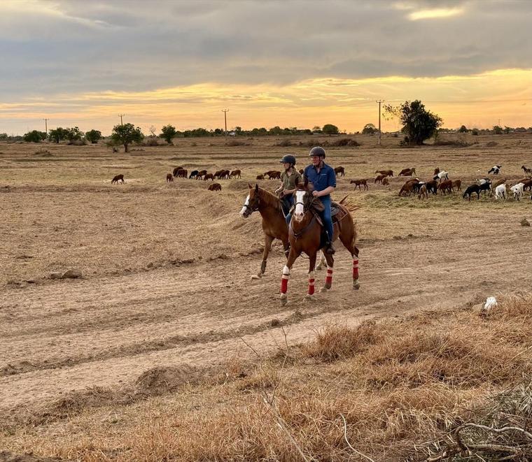 Two riders crossing open grazing land at sunset with livestock behind them