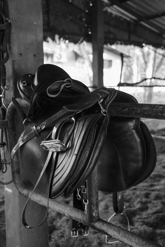 English saddle and tack prepared for use at Vonfidel Ranch in Sri Lanka.
