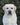 Sudeo Deacon Brodie, Sandylands Wait and See, Weathertop Storm Cloud, лабрадоры Украины