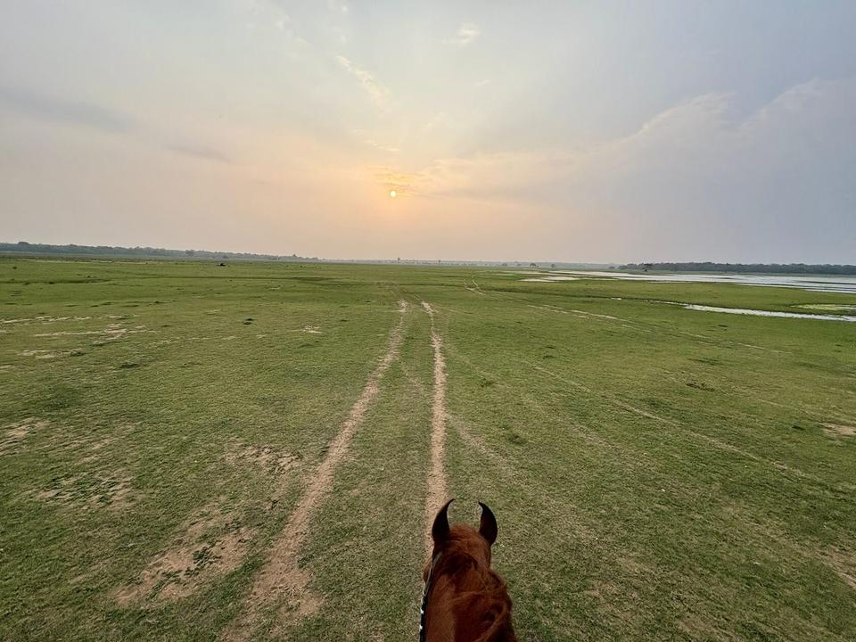 Open grassland seen from horseback at Vonfidel Ranch in Sri Lanka