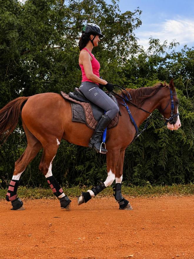 Bay horse ridden calmly under saddle at Vonfidel Ranch in Sri Lanka.