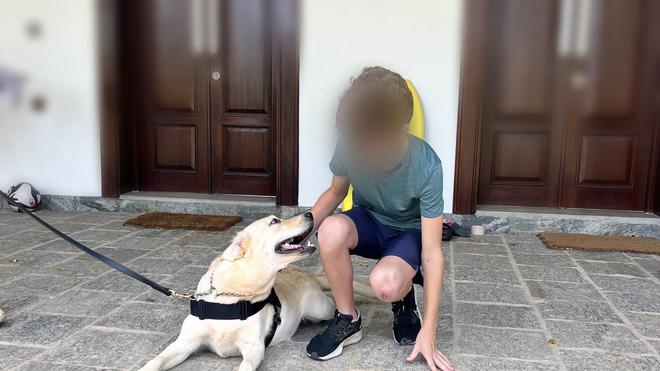 Leashed yellow Labrador resting beside a seated person on a veranda