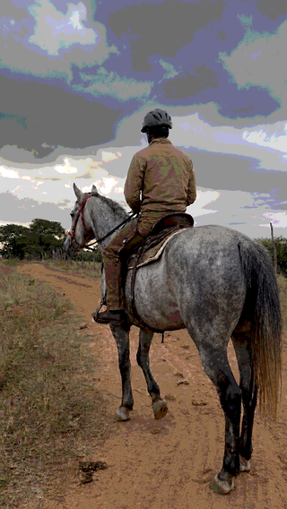 Horse and rider on a countryside trail at Vonfidel Ranch demonstrating ethical horsemanship.