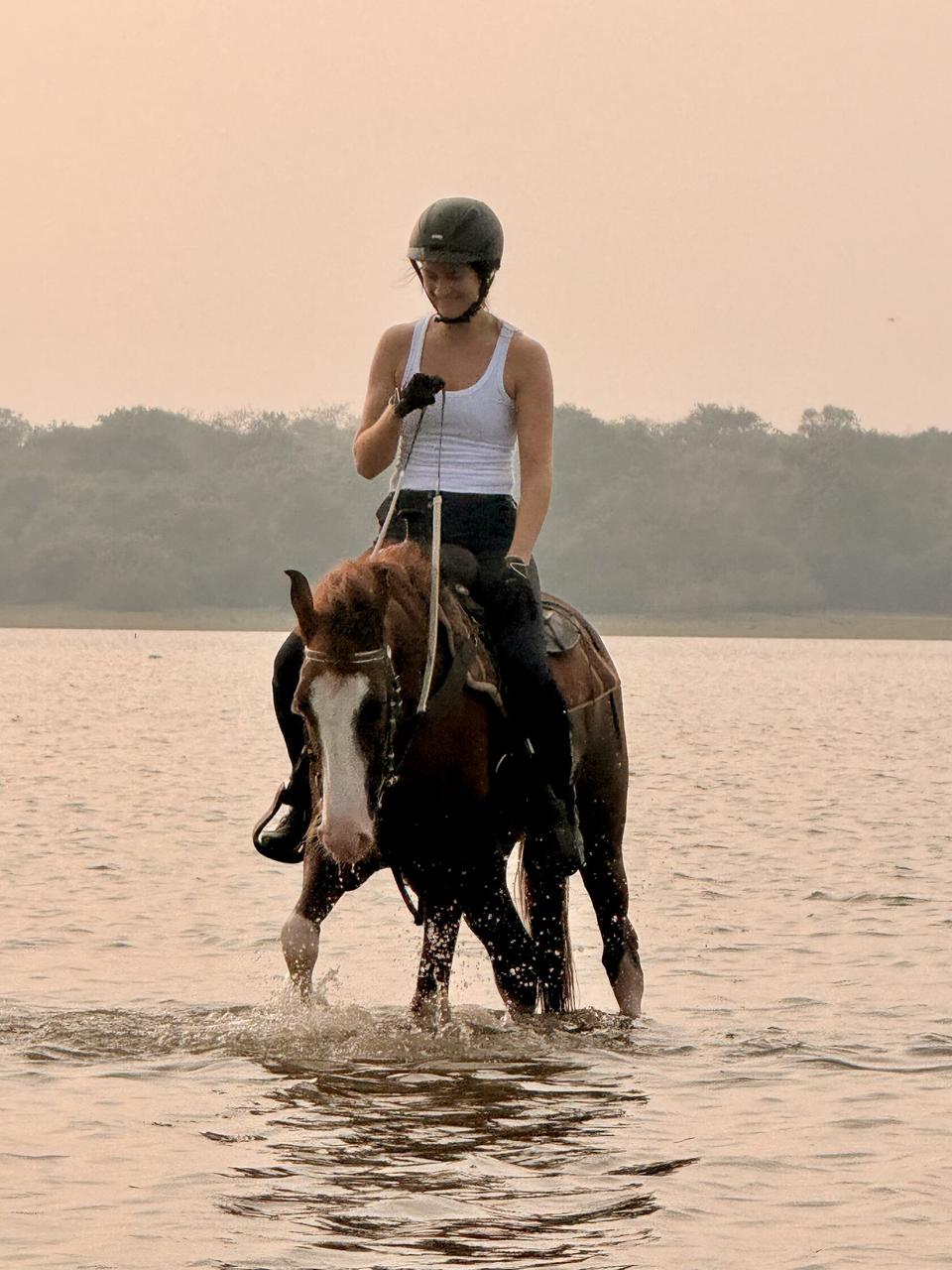Still rider on horseback at Vonfidel Ranch in rural Sri Lanka