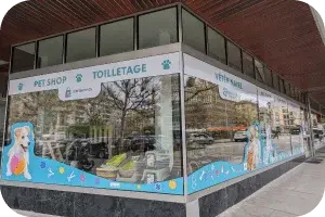 Plainpalais Cabinet