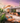 Commercial interior or exterior renderings