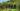 Orchards and Vineyards