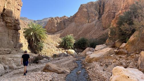معاينة منشورة على موقع نزل خروب