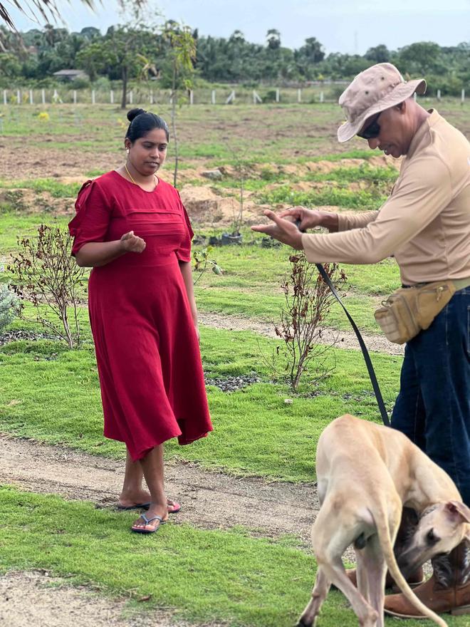 Woman watching a handler hold a lead while two dogs interact outdoors
