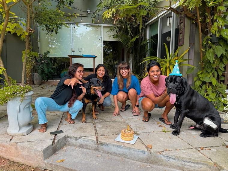 Young Cane Corso showing focus during VONFIDEL K9 obedience training