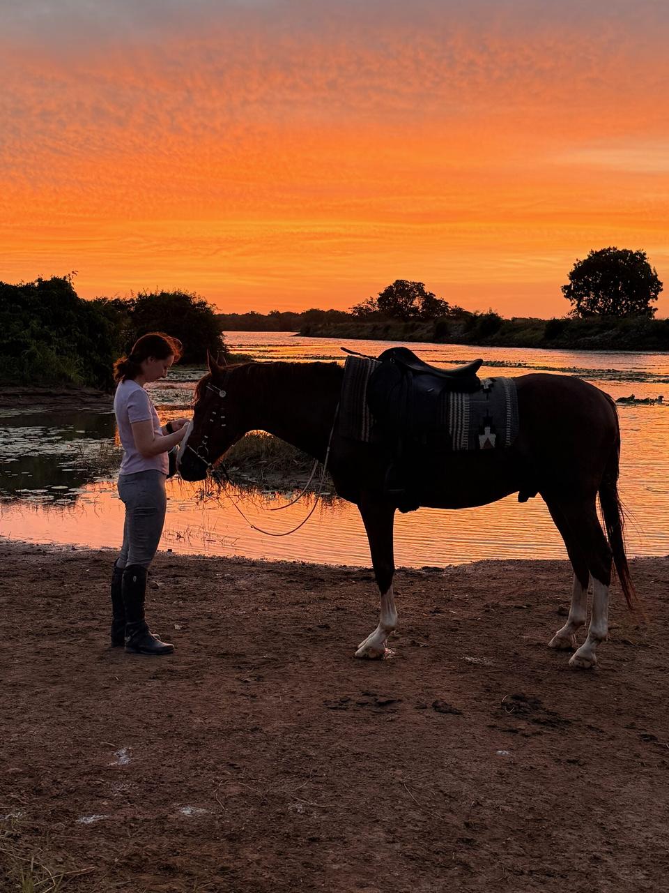 Quiet horse and guest interaction at Vonfidel Ranch, reflecting welfare-led riding access and trust-based horsemanship