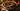 Vegetables, mushrooms. Horizontal photos