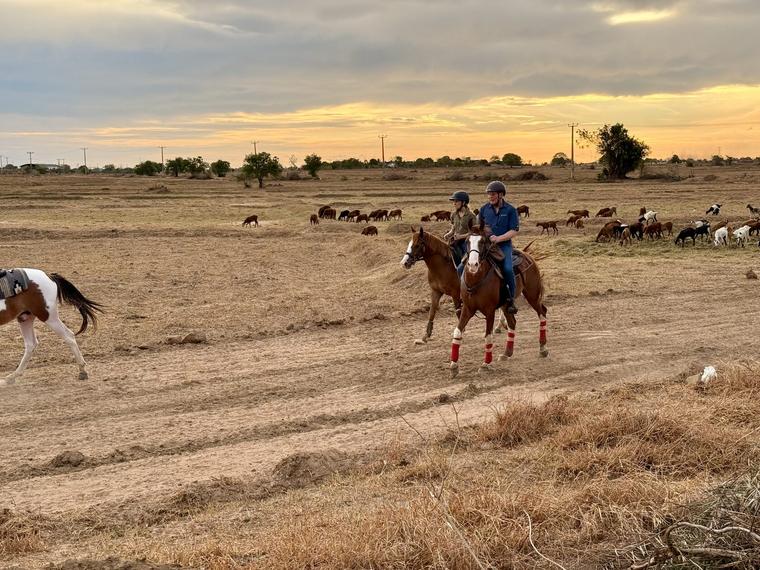 Riders moving through open ranch land at sunset at Vonfidel Ranch