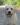 Sudeo Deacon Brodie, Linjor Wich Master, Guideline's Mastercapd, Sandylands, Ramsayville Route Sixty Six, yellow labrador, палевый лабрадор