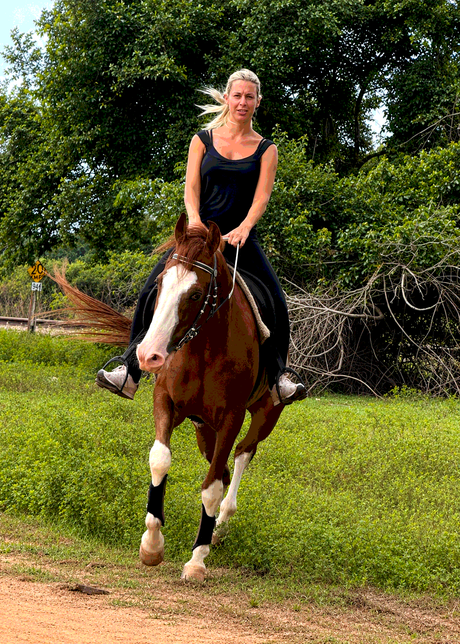 Guest riding a chestnut horse during a private Vonfidel Ranch riding holiday in Sri Lanka
