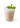 Creamy vending-style beverage topped with milk foam and mint, made using The Base Beverage instant powder for vending machines