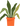 цветок