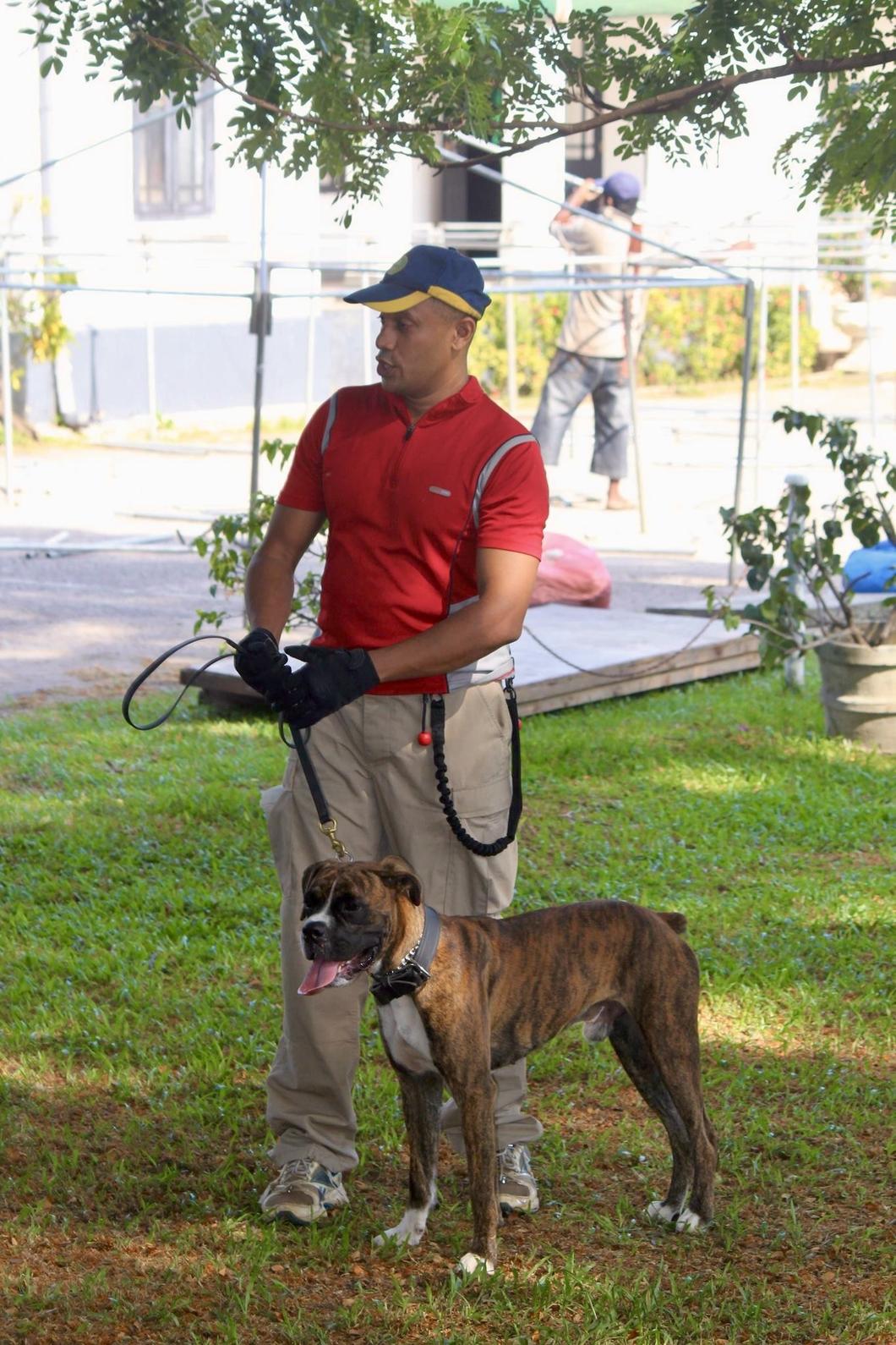 VONFIDEL K9 dog training fieldwork in Sri Lanka
