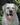 labrador, kennel, лабрадор ретривер, питомник