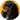 price English or American Cocker Spaniel grooming