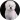 price Bichon Frise, Maltese, Havanese, Bolognese grooming 