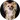 price Long-haired Chihuahua grooming 