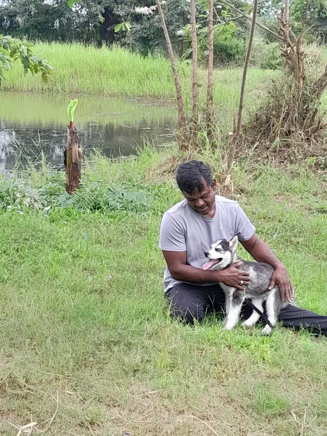 Handler sitting on grass with a young husky beside a pond
