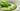 Soups. Horizontal photos