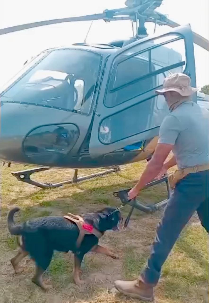 VONFIDEL K9 working dog training beside a helicopter during operational readiness work