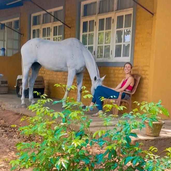 Guest receiving calm one-to-one attention beside a horse at Vonfidel Ranch