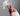 Applicazione del gel - Nailssecrets