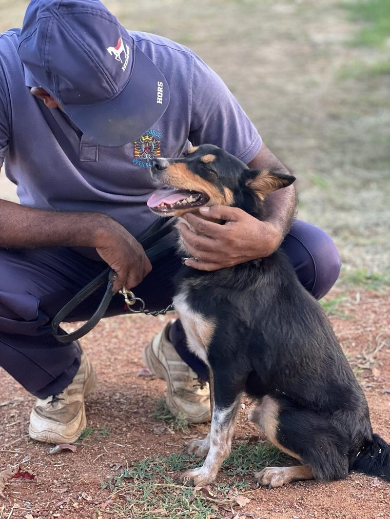 VONFIDEL K9 handler bonding with a dog during obedience training