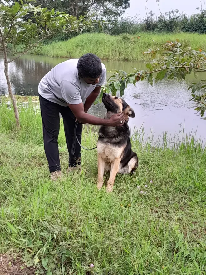 Handler steadying a seated shepherd-type dog beside a pond