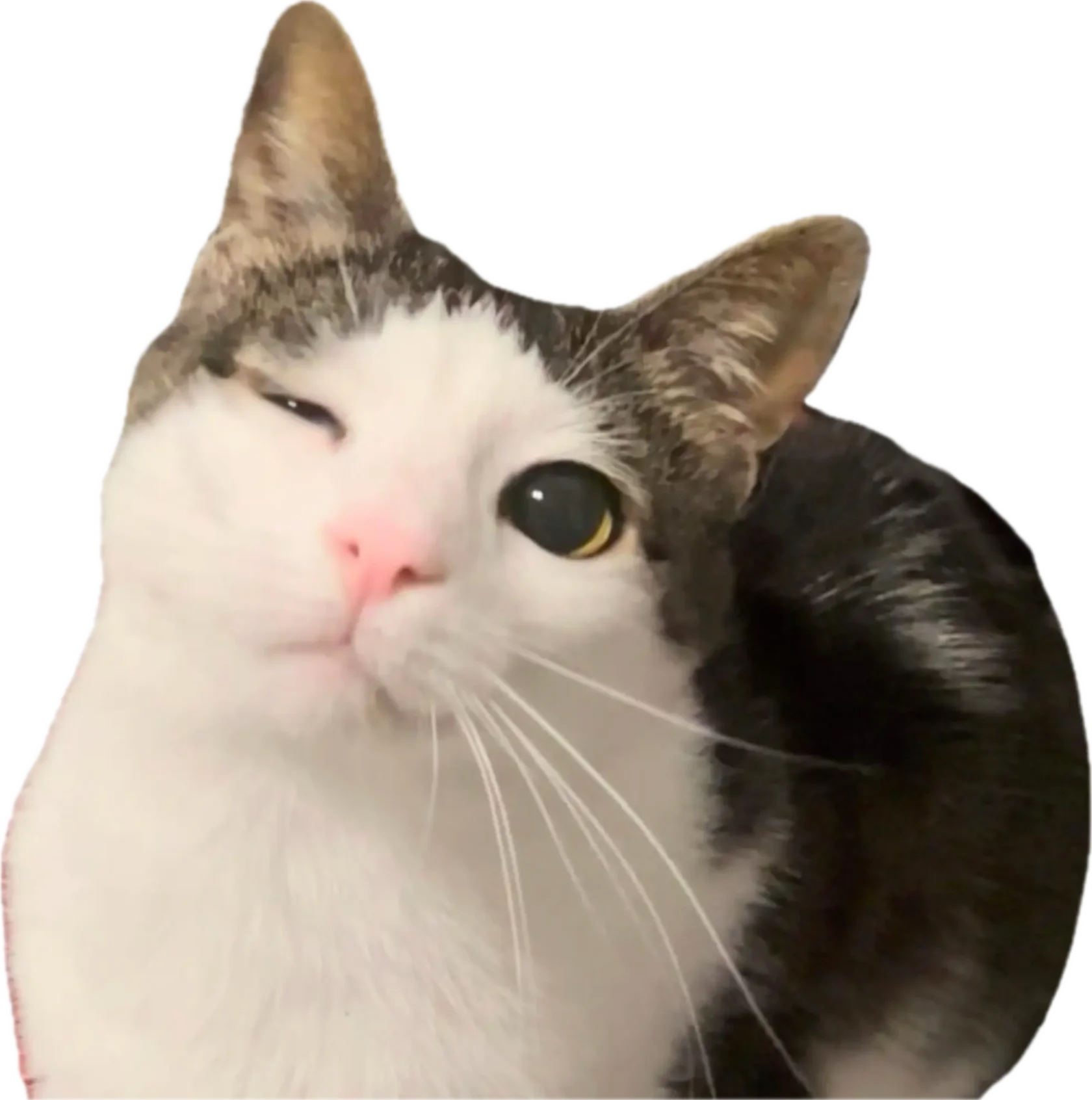 =""