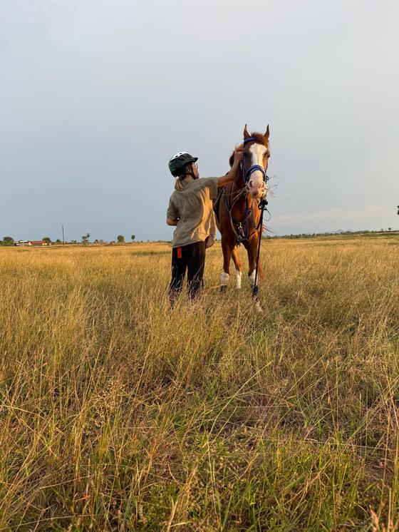 Horse standing in open grassland at Vonfidel Ranch while a rider adjusts its bridle in golden evening light.