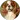 price Cavalier King Charles Spaniel grooming