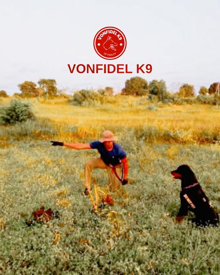 VONFIDEL K9 working dog training in a controlled outdoor Sri Lankan environment