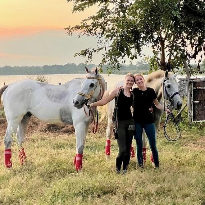 Guests standing calmly with horses at Vonfidel Ranch in Sri Lanka