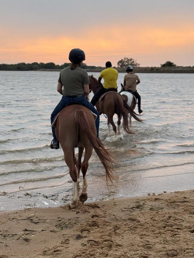 Riders entering shallow river water at sunset at Vonfidel Ranch in Sri Lanka