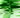 GreenPath Securitization Platform